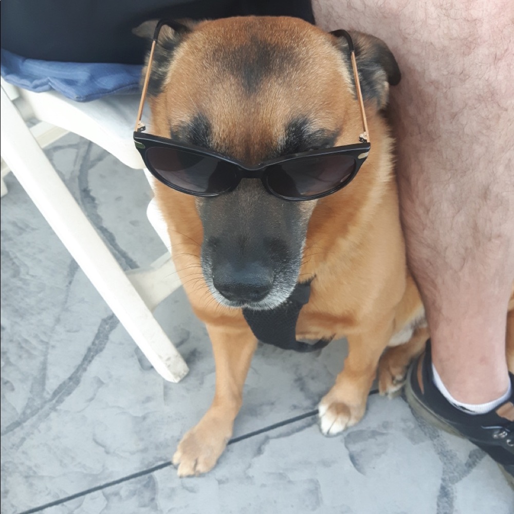 Meet your Posher, Nicole